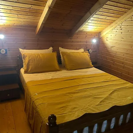 Ferma Gold Тирана